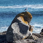 Clique pour agrandir ...